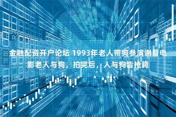 金融配资开户论坛 1993年老人带狗参演谢晋电影老人与狗，拍完后，人与狗皆枪毙
