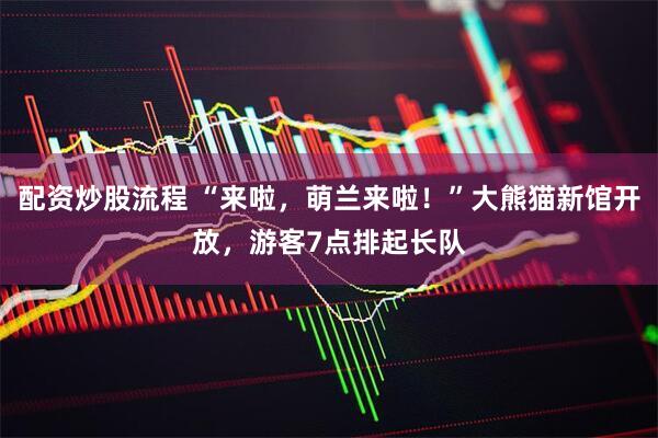配资炒股流程 “来啦，萌兰来啦！”大熊猫新馆开放，游客7点排起长队